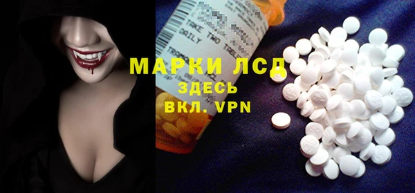 мдпв Бородино