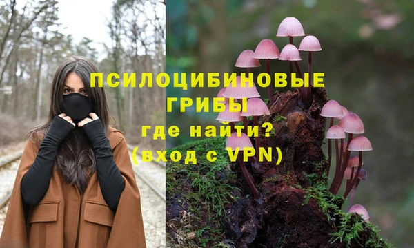 прущая мука Верхний Тагил