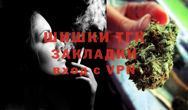 мдпв Бородино