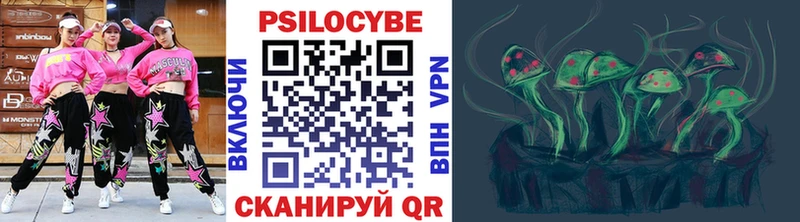 Галлюциногенные грибы ЛСД Новосокольники